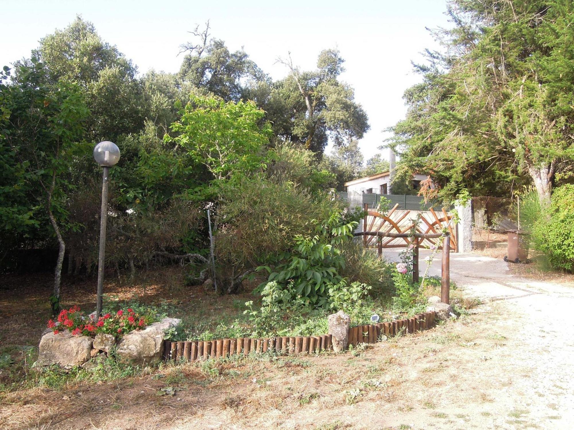 Casa Solotti Pensionat Nuoro  Exteriör bild