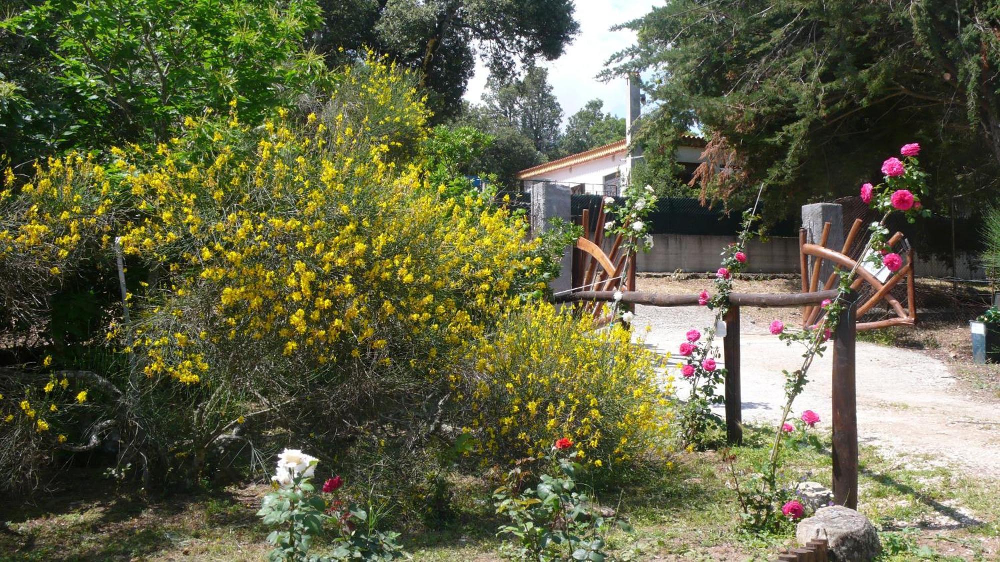 Casa Solotti Pensionat Nuoro  Exteriör bild