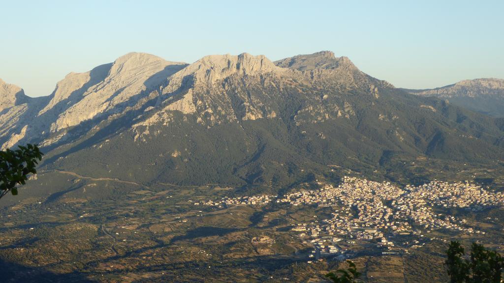 Casa Solotti Pensionat Nuoro  Exteriör bild