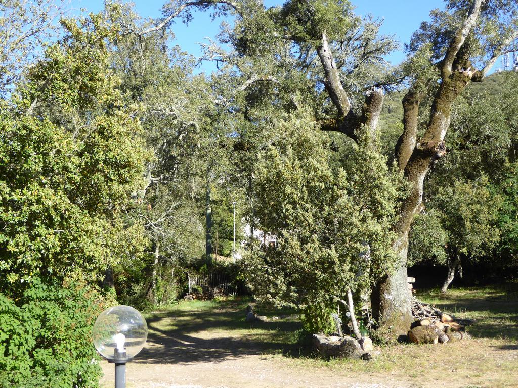 Casa Solotti Pensionat Nuoro  Exteriör bild